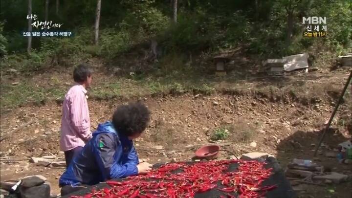 나는 자연인이다 말벌킬러 허명구씨ㅋㅋㅋㅋㅋㅋ | 인스티즈