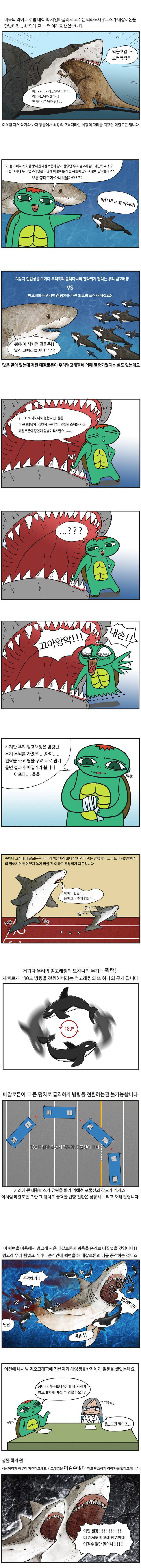 범고래 만화 (1).jpg | 인스티즈