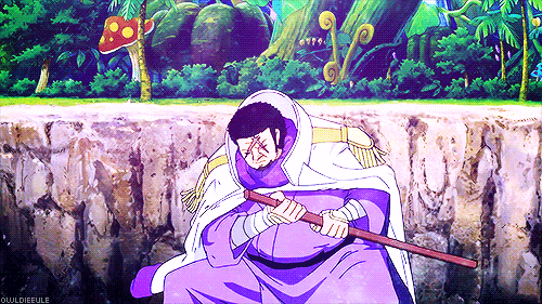 원피스 해군 본부 최고전력 대장 후지토라 | 인스티즈