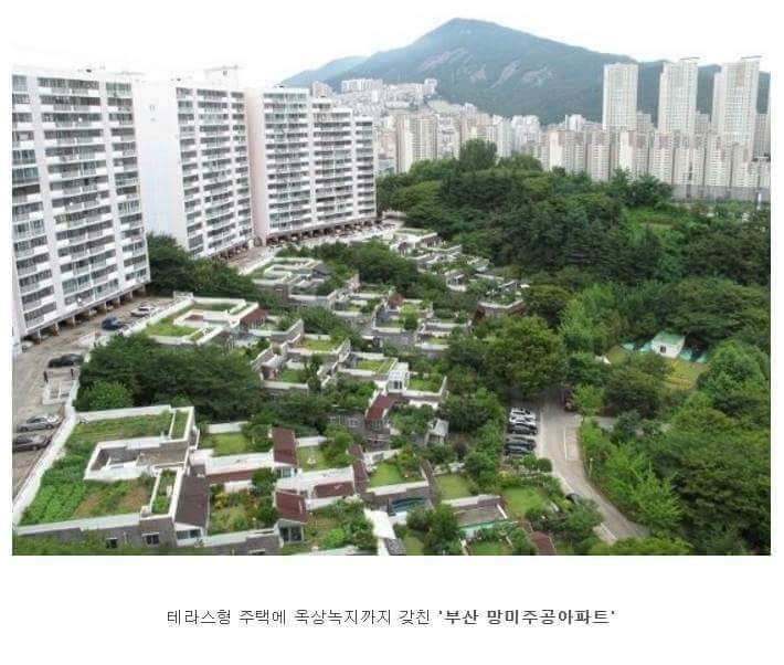 우리나라의 특이한 아파트들 | 인스티즈