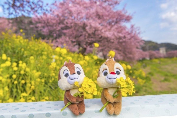 조신하게 앉아있는 인형들 | 인스티즈