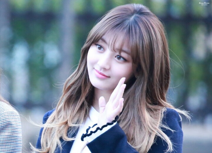 2월부터 4월까지 트와이스 지효 | 인스티즈