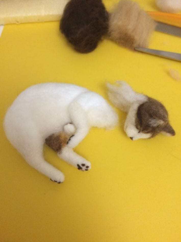고양이 털로 만든 고양이 | 인스티즈