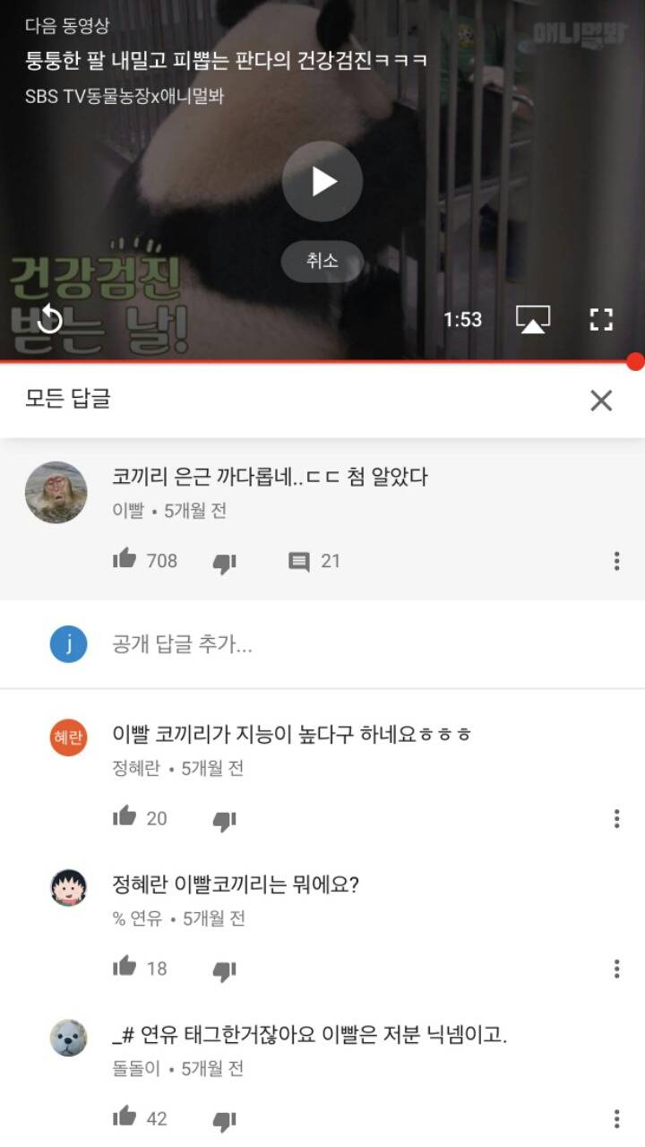 이빨 코끼리가 뭔가요?.JPG | 인스티즈