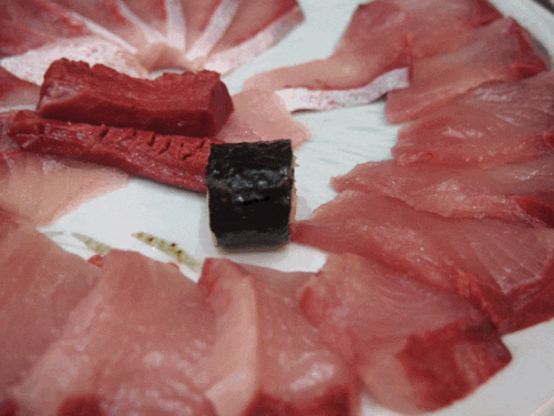 싱싱한 생선회! 방어회 (+매운탕) gif | 인스티즈