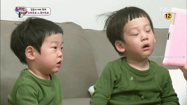 납치하고 싶은 서언이 서준이 | 인스티즈