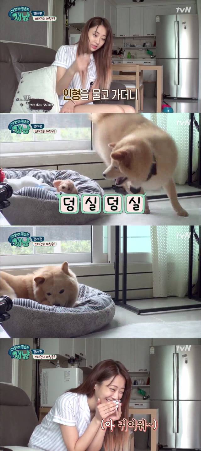 [대화가필요한개냥] 나인뮤지스 경리와 사랑스러운 반려견 시로.jpg | 인스티즈