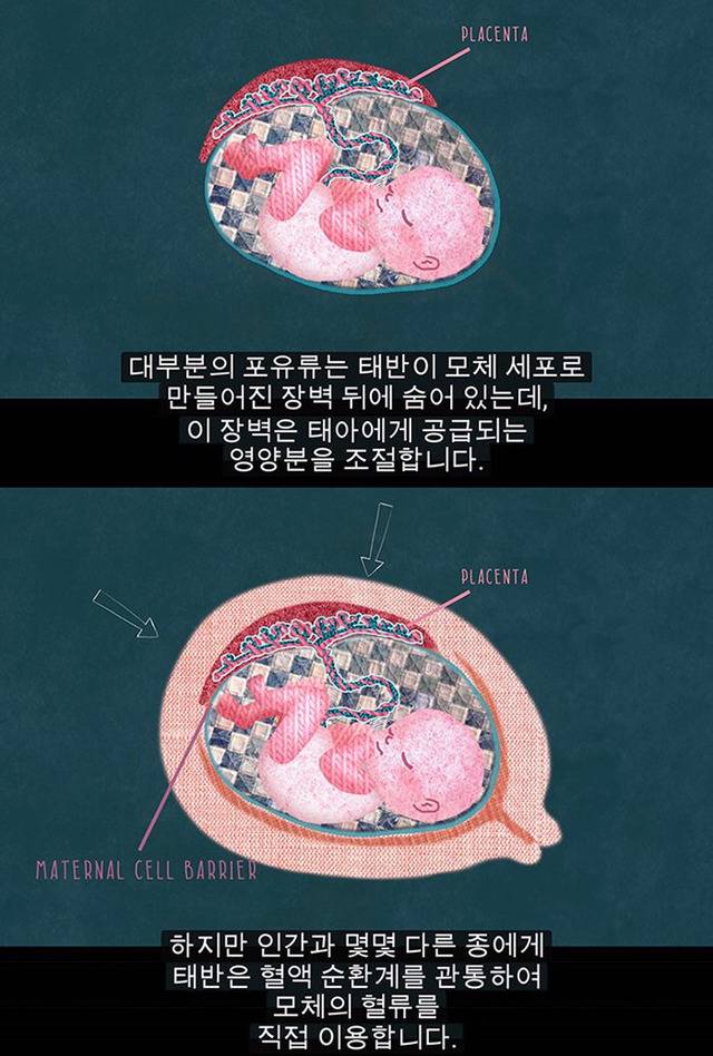 생리는 결코 오지 않는 정자를 기다리다 아기집을 허무는 과정이 아니다 | 인스티즈