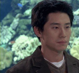 외모가 흡사한건 아닌데 이미지가 닮은 3명의 배우 | 인스티즈