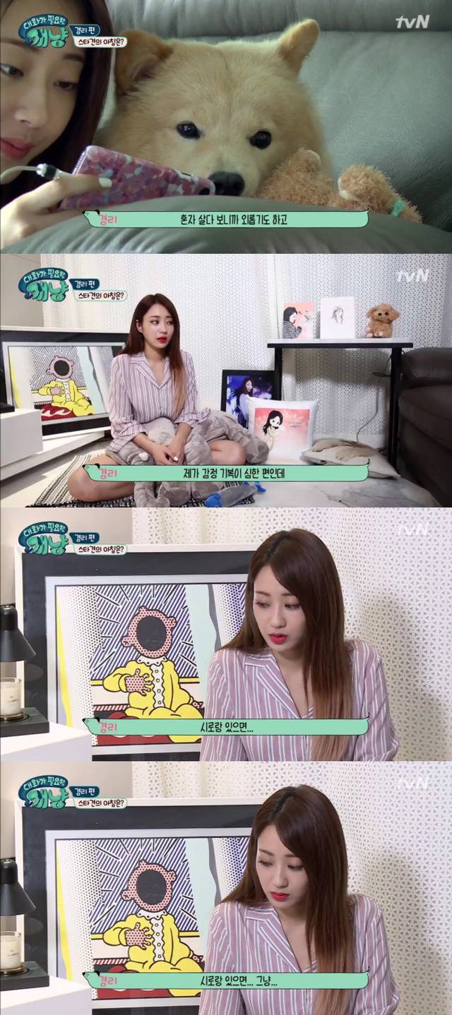 [대화가필요한개냥] 나인뮤지스 경리와 사랑스러운 반려견 시로.jpg | 인스티즈