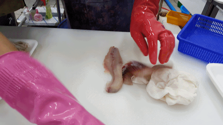 싱싱한 생선회! 방어회 (+매운탕) gif | 인스티즈