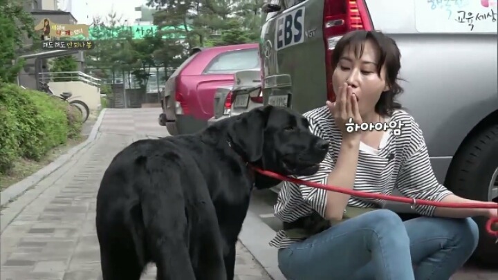 [세나개] 강형욱 훈련사의 팬인 봄이의 보호자들.jpg | 인스티즈