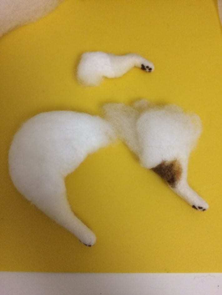 고양이 털로 만든 고양이 | 인스티즈