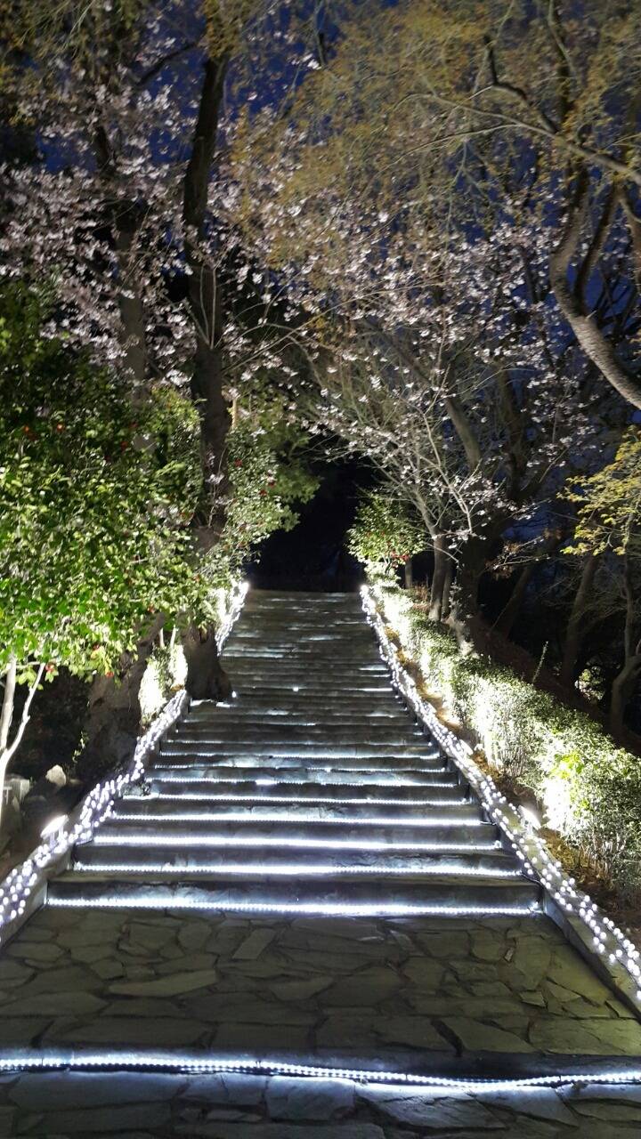 울산에 왜놈수장 가토기요마사 동상건립추진 | 인스티즈