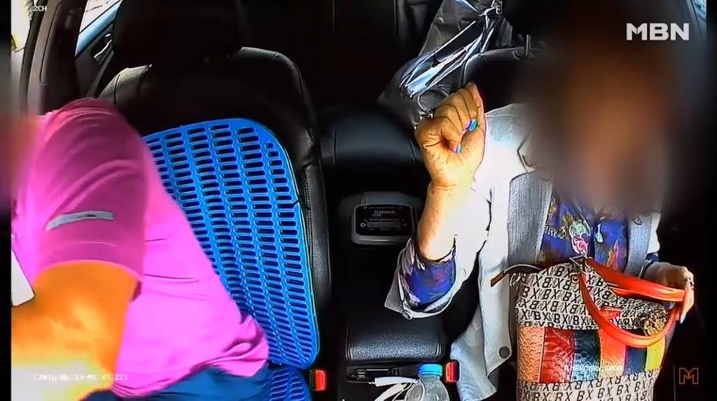 신종 택시 꽃뱀 + 내용 추가 | 인스티즈