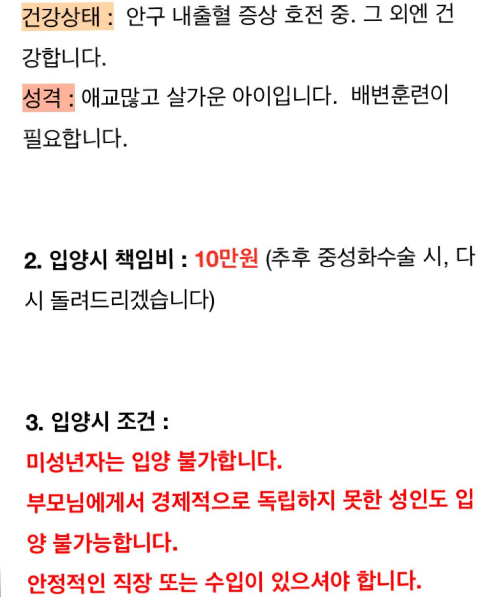 유기견 순님이의 평생 가족이 되실 분을 찾습니다 | 인스티즈