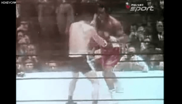 복싱계 인자강 | 인스티즈