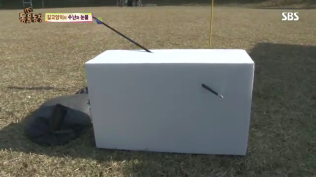 고양이에게 화살 쏜 남자 (이거보면 빡쳐서 잠 못잠) | 인스티즈