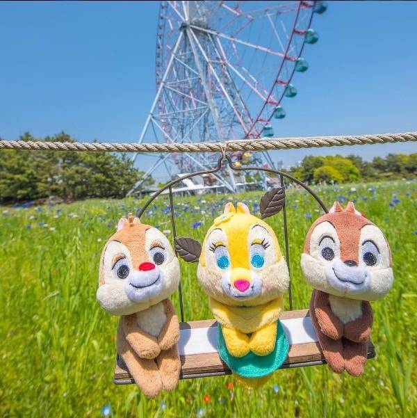 조신하게 앉아있는 인형들 | 인스티즈