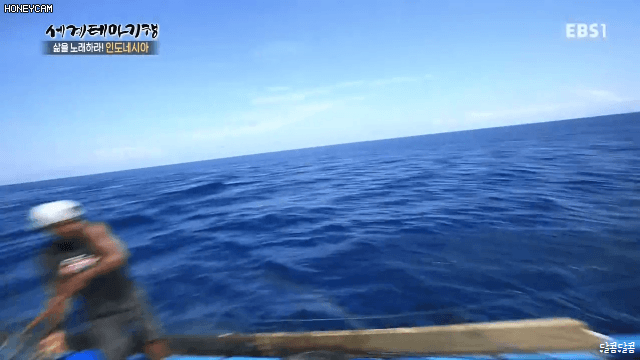 인도네시아의 참치 잡이 | 인스티즈