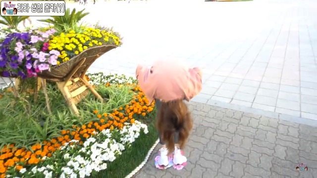 엘레베이터 방구몰카로 화제가 된 개그맨의 여자친구 생일 몰카(눈물주의) | 인스티즈