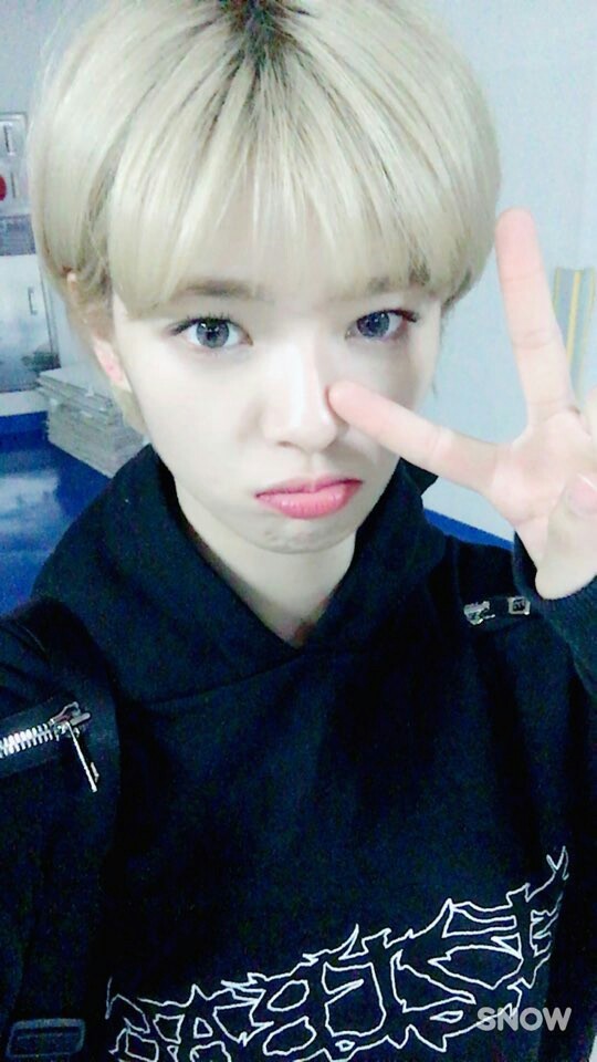 트와이스 정연 | 인스티즈