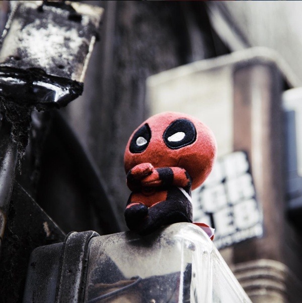 조신하게 앉아있는 인형들 | 인스티즈