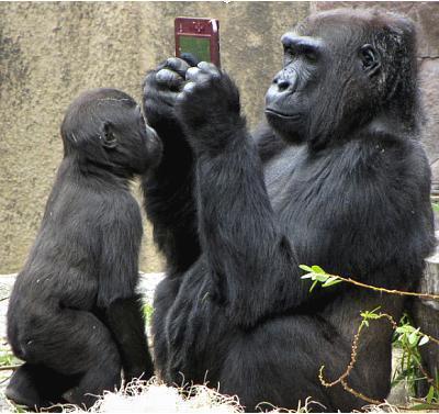 흔한 유학생들의 유학생활 | 인스티즈