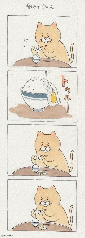 운 없는 고양이 시리즈.jpg | 인스티즈