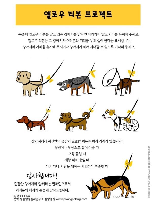 노란색 리본을 한 강아지를 본다면 배려해주세요 | 인스티즈