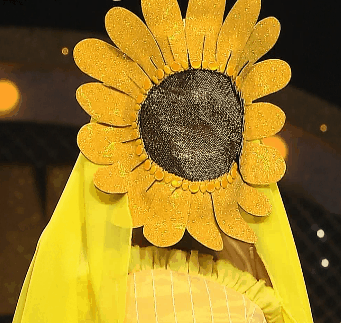 복면가왕 출연한 마마무 솔라 | 인스티즈