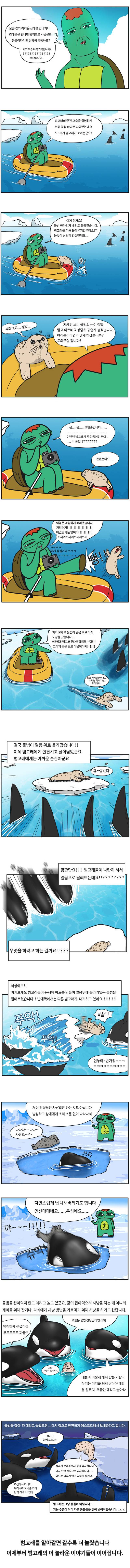 범고래 만화 (1).jpg | 인스티즈