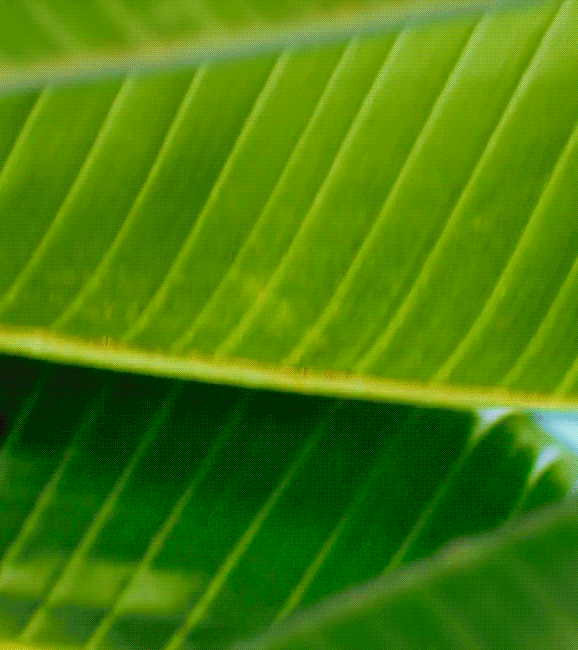 레드벨벳 아이린.jpgif | 인스티즈