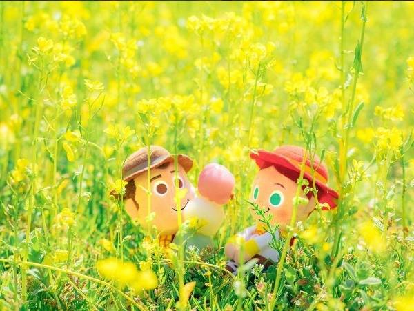 조신하게 앉아있는 인형들 | 인스티즈