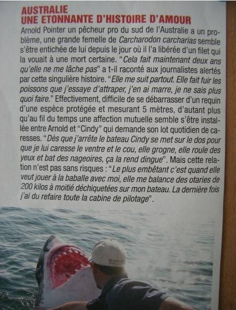 전세계 수족관에 백상아리가 없는 이유.jpgif | 인스티즈