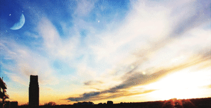 날개도 없는 주제에 하늘을 사랑했다 | 인스티즈