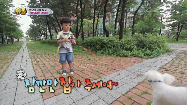 [슈돌] 강아지와 산책하다가 똥 치워주는 대박이 | 인스티즈