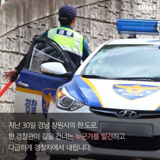 도로를 건너 긴 여정을 떠나는 아기오리와 엄마오리 가족 (심장 폭행) .jpg | 인스티즈