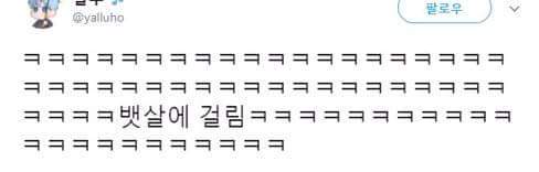 냐옹이의 뱃살때문에 생긴 일.jpg | 인스티즈