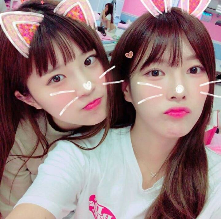 Fromis 송하영.jpg | 인스티즈