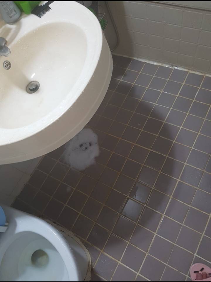 수명이 10~20분밖에 안되는 강아지.jpg | 인스티즈