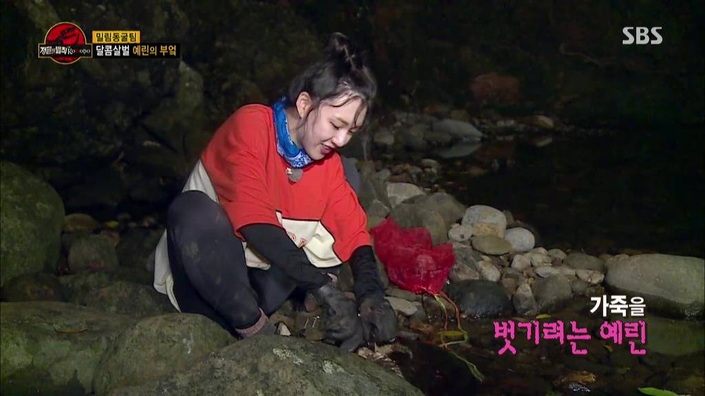 도마뱀 가죽 벗기는 여자아이돌 | 인스티즈