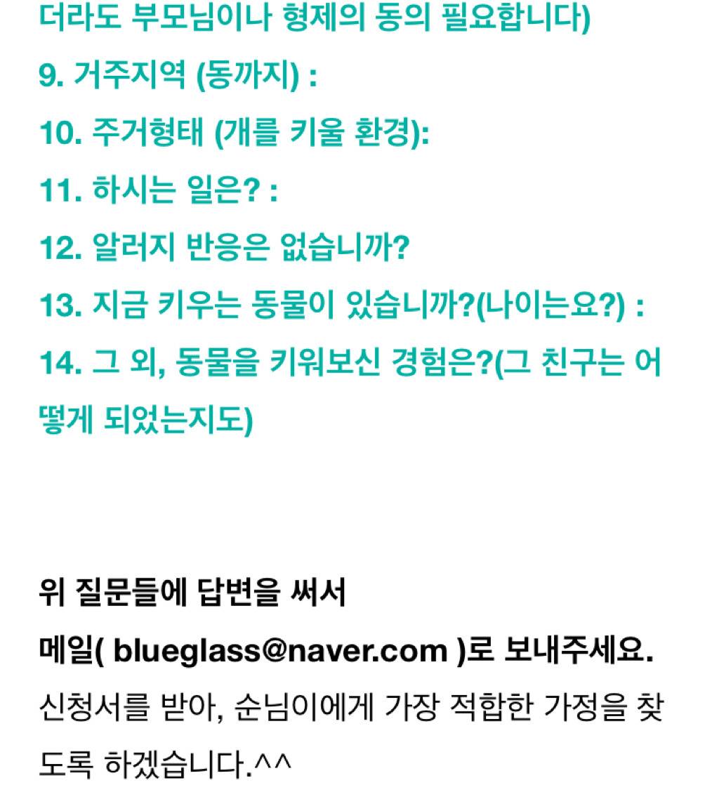 유기견 순님이의 평생 가족이 되실 분을 찾습니다 | 인스티즈