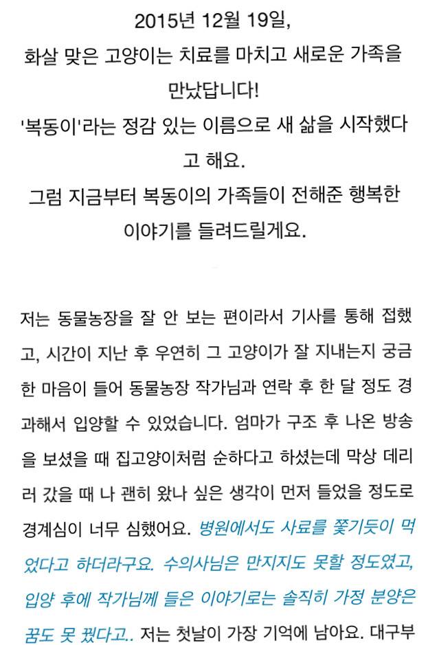 고양이에게 화살 쏜 남자 (이거보면 빡쳐서 잠 못잠) | 인스티즈