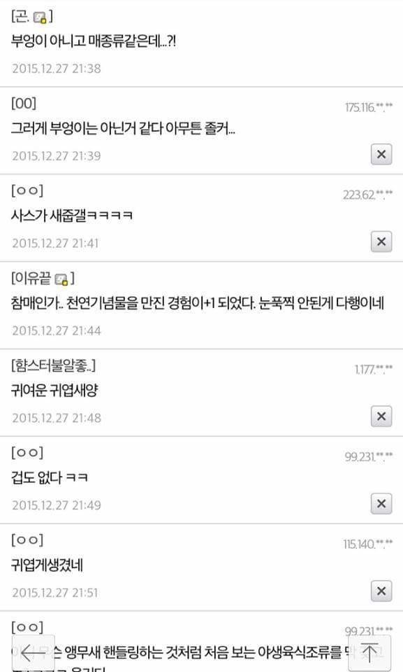 디씨의 부엉이 주운썰..jpg | 인스티즈