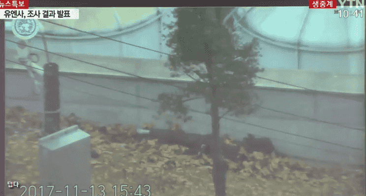 북한 귀순병사 CCTV 장면.gif | 인스티즈