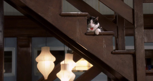 영화 더 프린세스 다이어리.jpgif (The Princess Diaries 2001) | 인스티즈