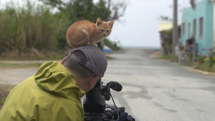 심장 말랑말랑해지는 아깽이들 사진 | 인스티즈