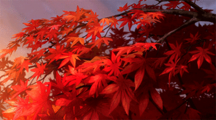 이 가을에 아직도 너를 사랑해서 슬프다 | 인스티즈