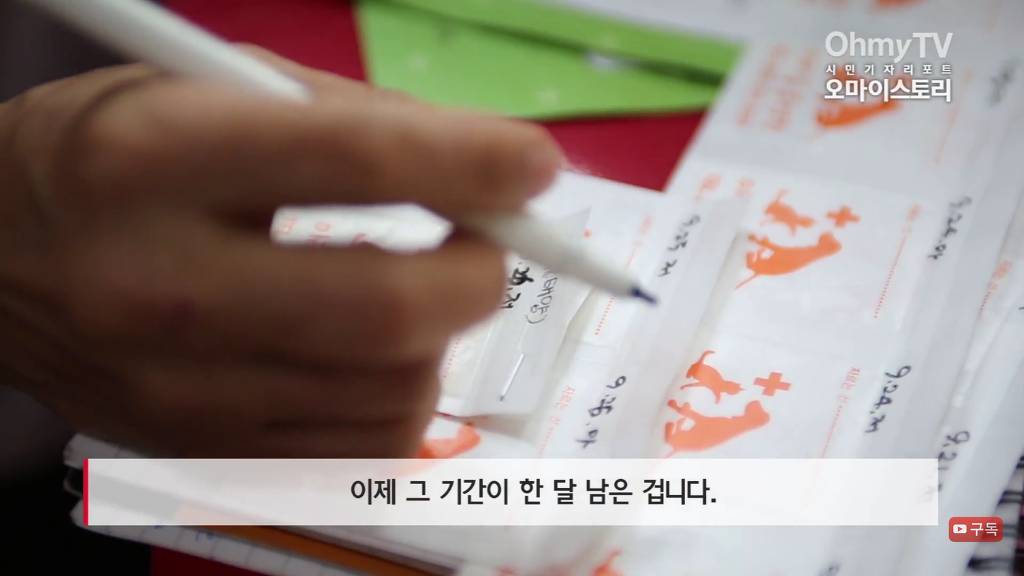 마산 애니멀 호더에게서 구조한 50여마리의 고양이들에게 손길을 내밀어주세요! 곧 쉼터가 폐쇄되어 아이들이 갈 곳이 없습니다 | 인스티즈